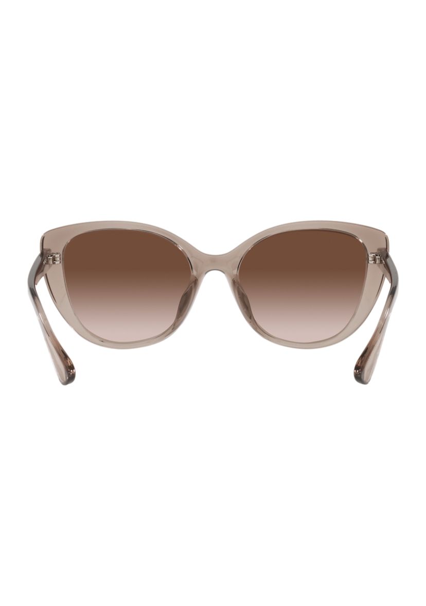 AX4111SU  Sunglasses