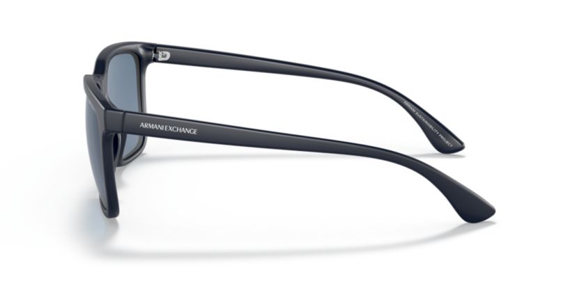 AX4112SU Sunglasses