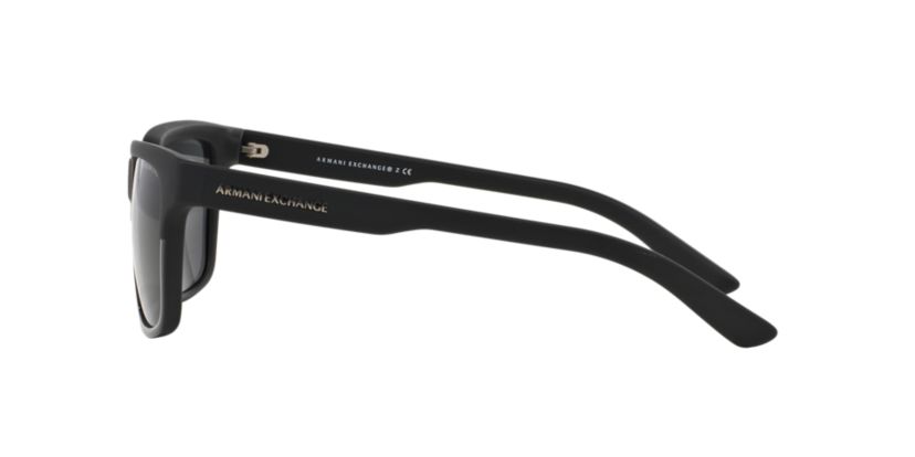 AX4026S Polarized Sunglasses