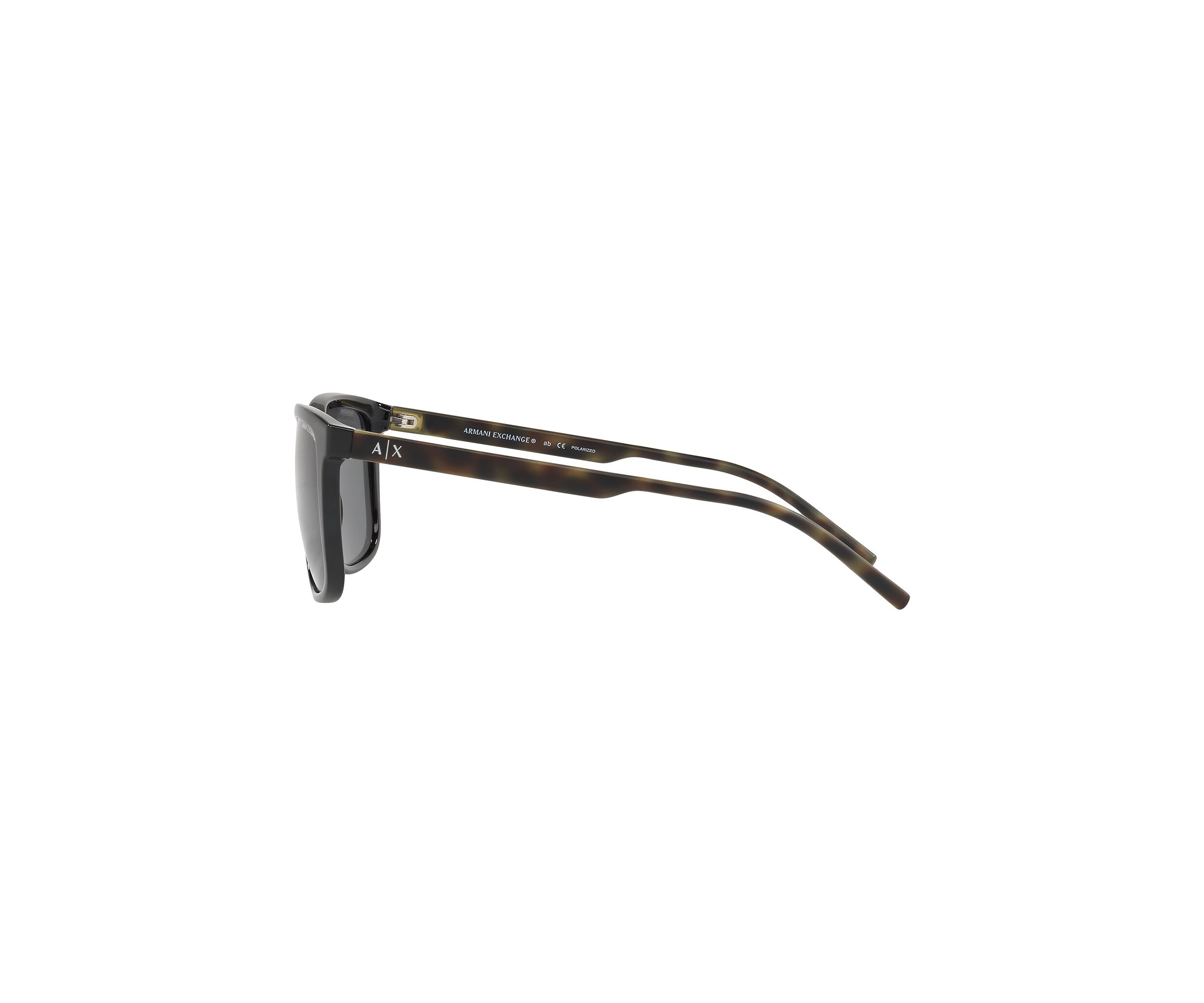 AX4070S Polarized Sunglasses