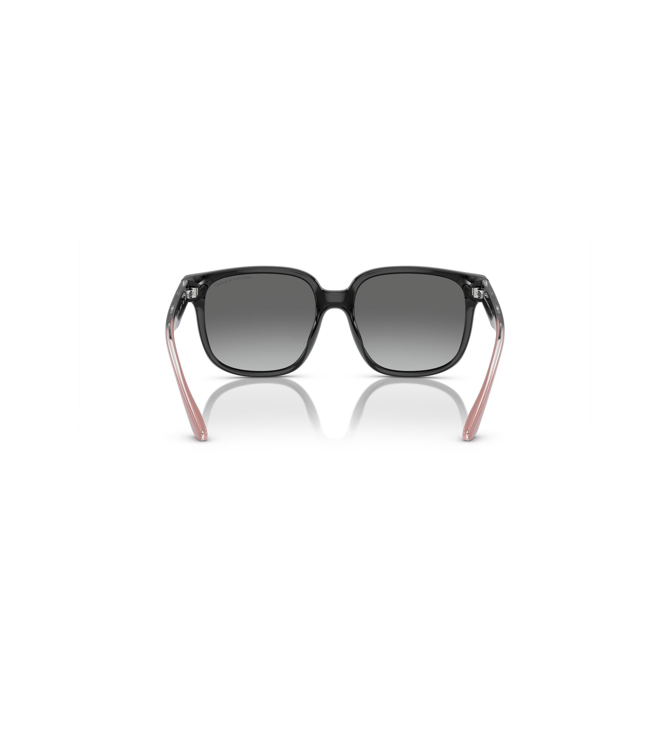 AX4136SU Sunglasses