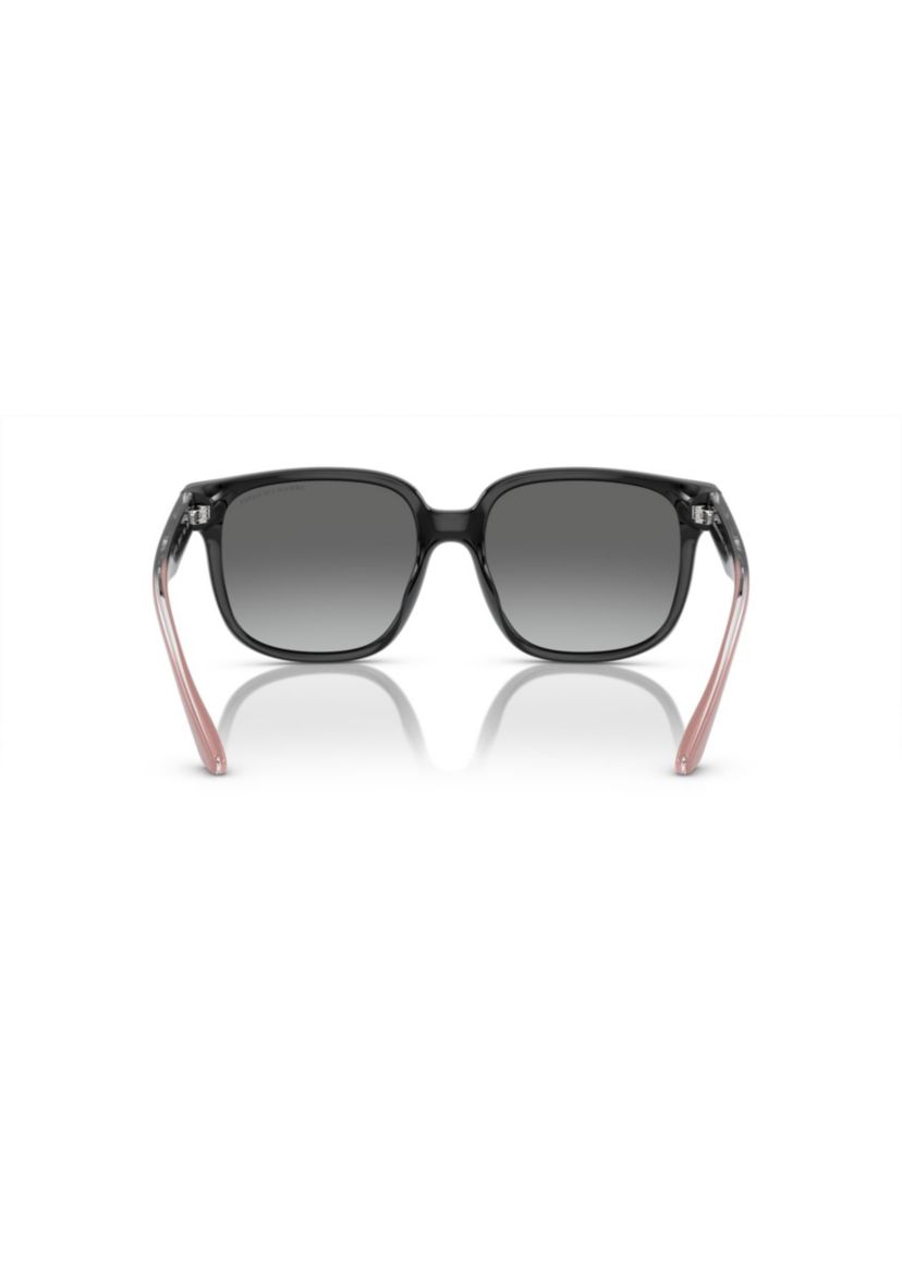 AX4136SU Sunglasses