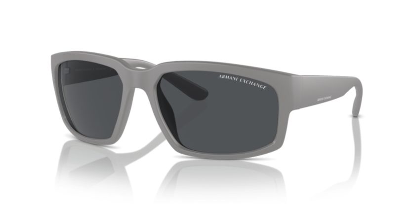AX4142SU Sunglasses