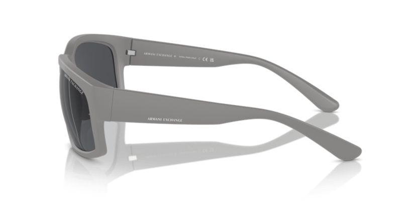AX4142SU Sunglasses