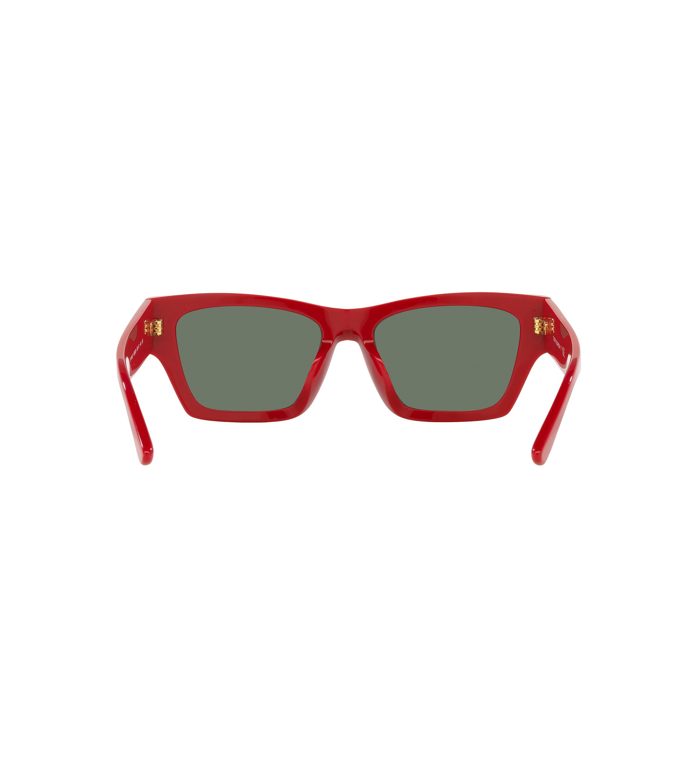 TY7169U Sunglasses