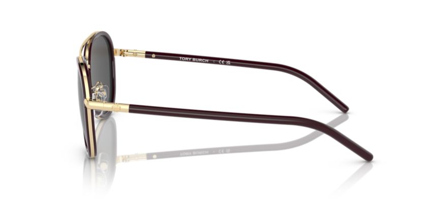 TY6089 Sunglasses
