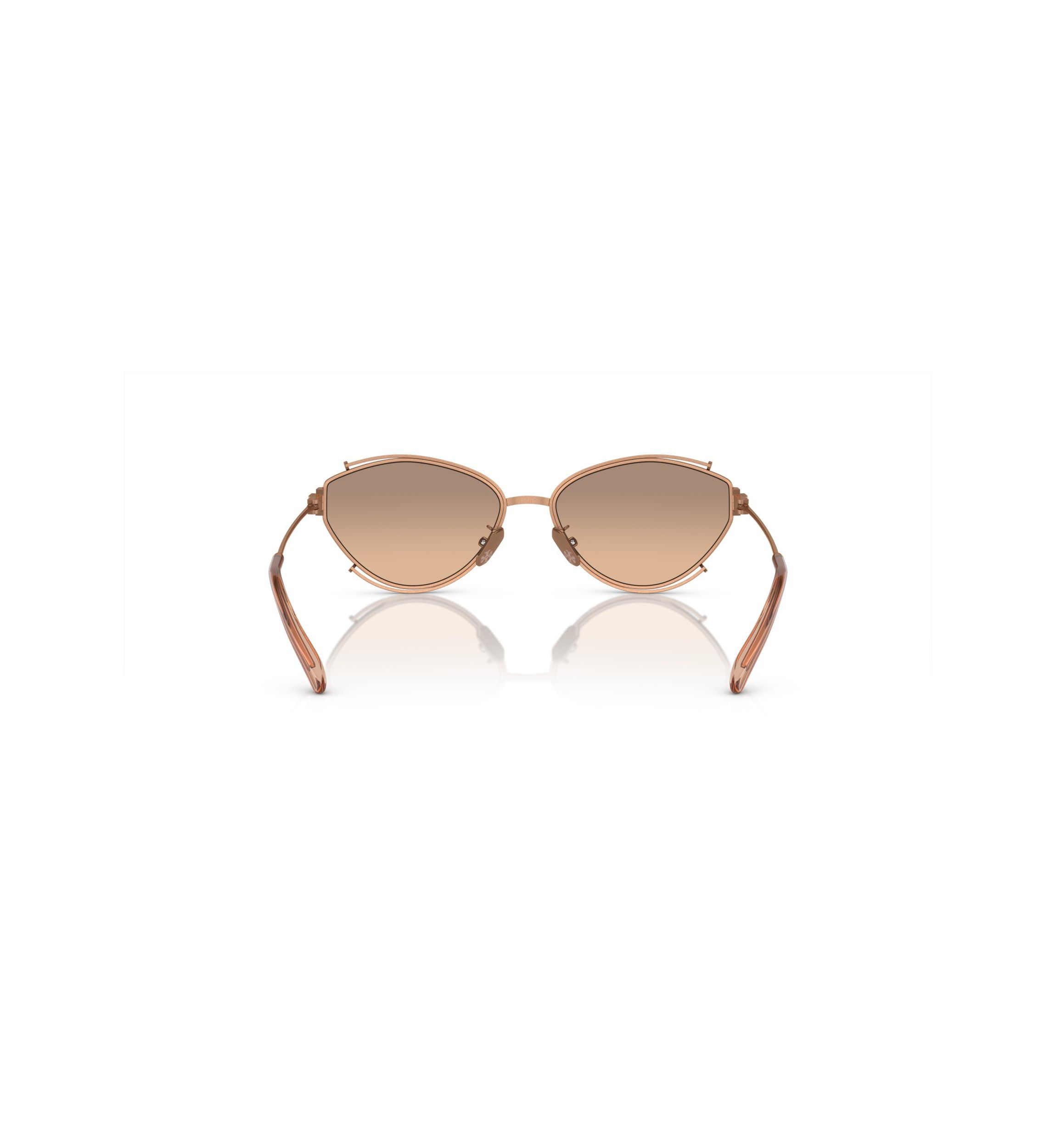 TY6103 Sunglasses