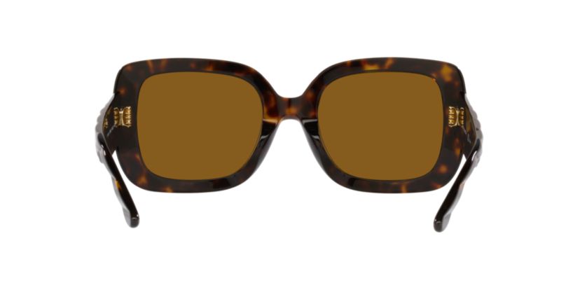 TY7179U Polarized Sunglasses