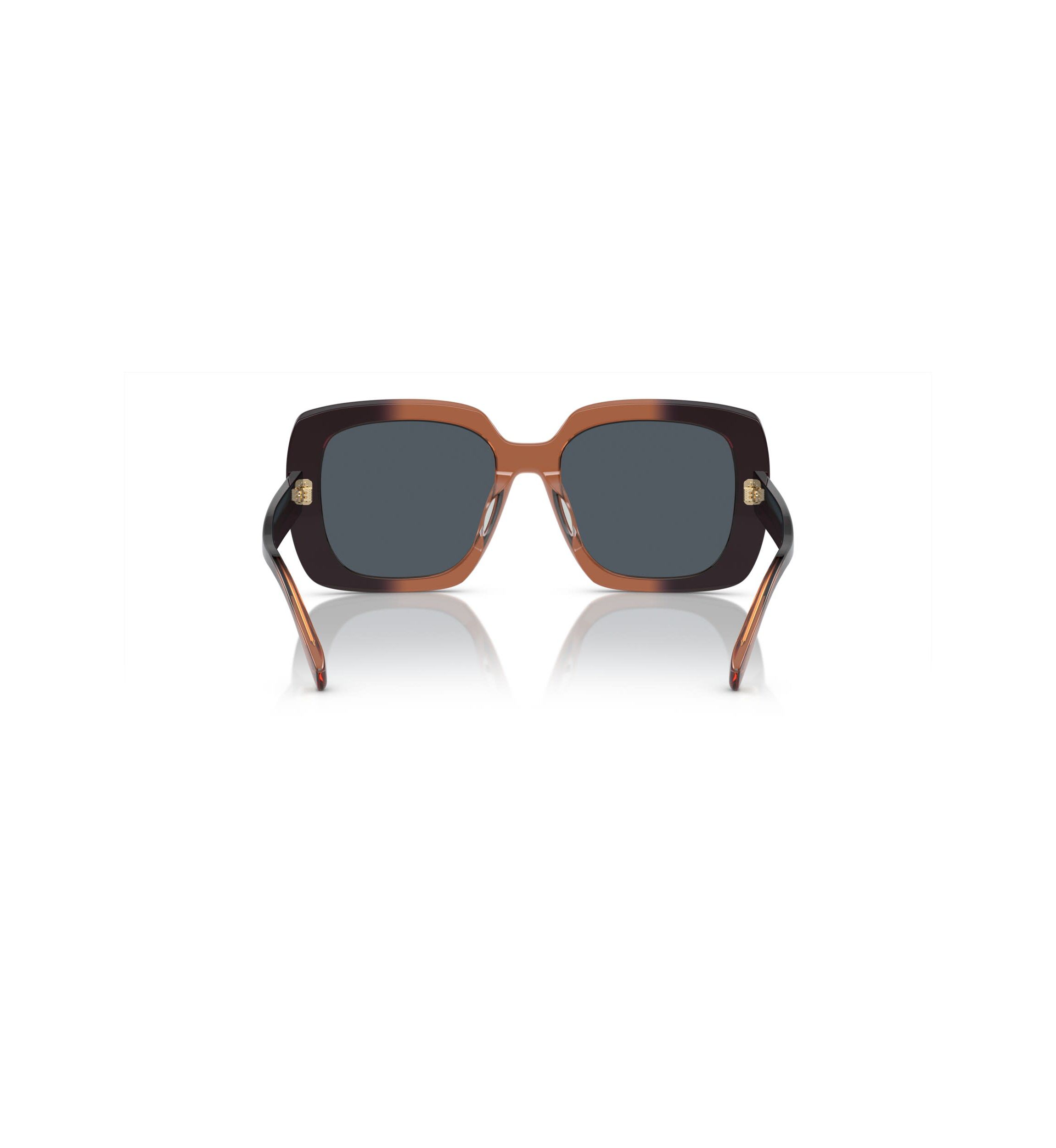 TY7193U Sunglasses