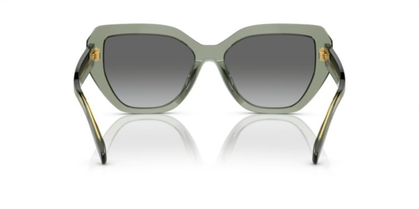 TY7194U Sunglasses