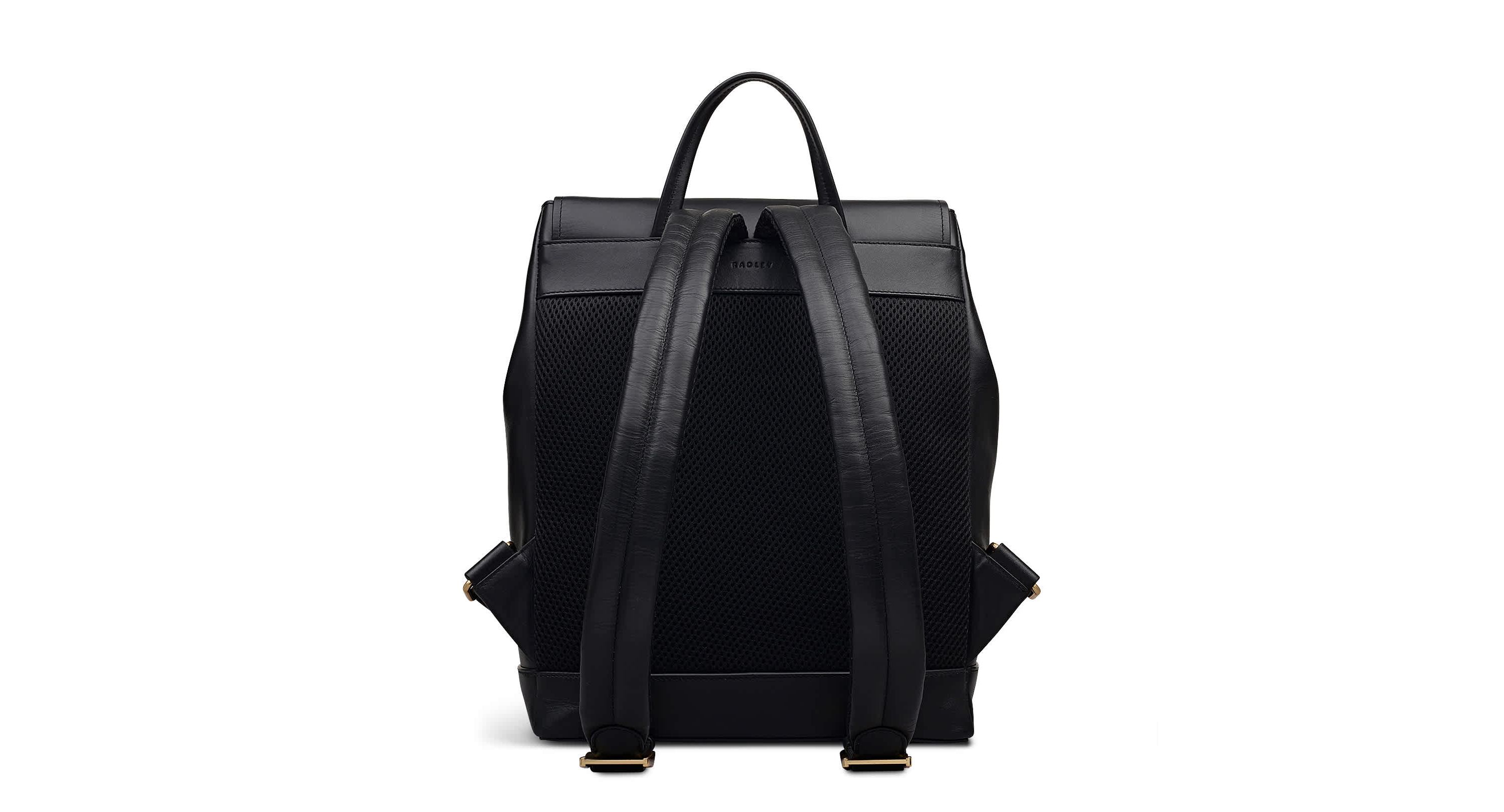 Albion Street Large Ziptop Backpack