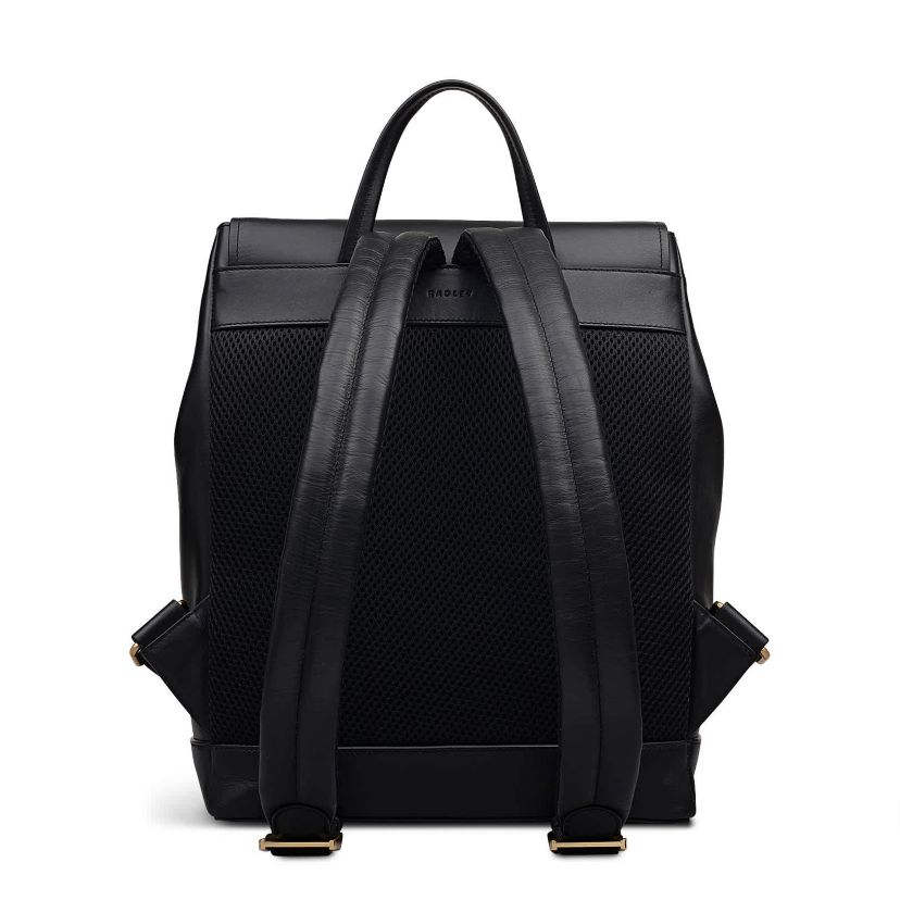 Albion Street Large Ziptop Backpack