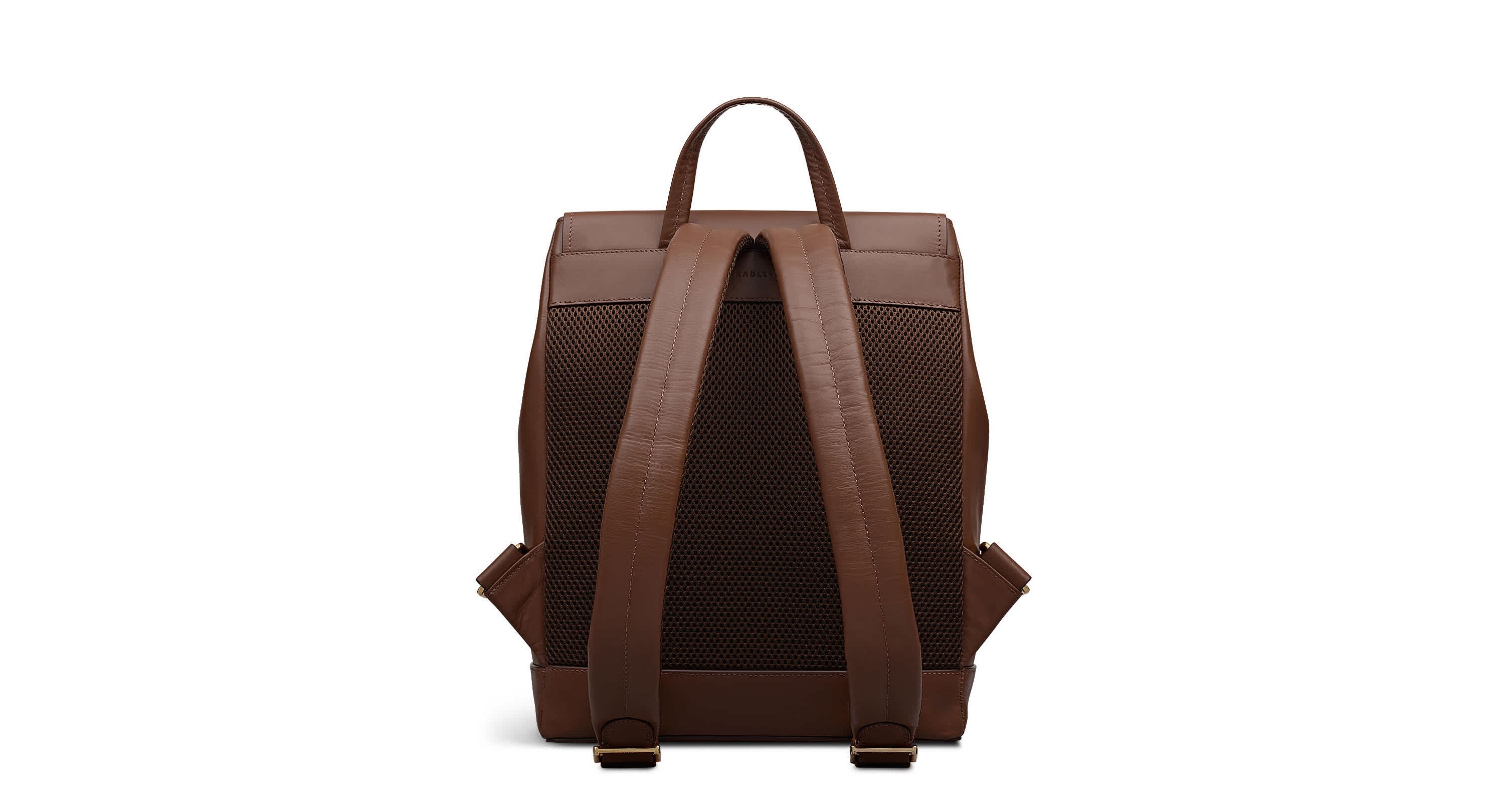 Albion Street Large Ziptop Backpack
