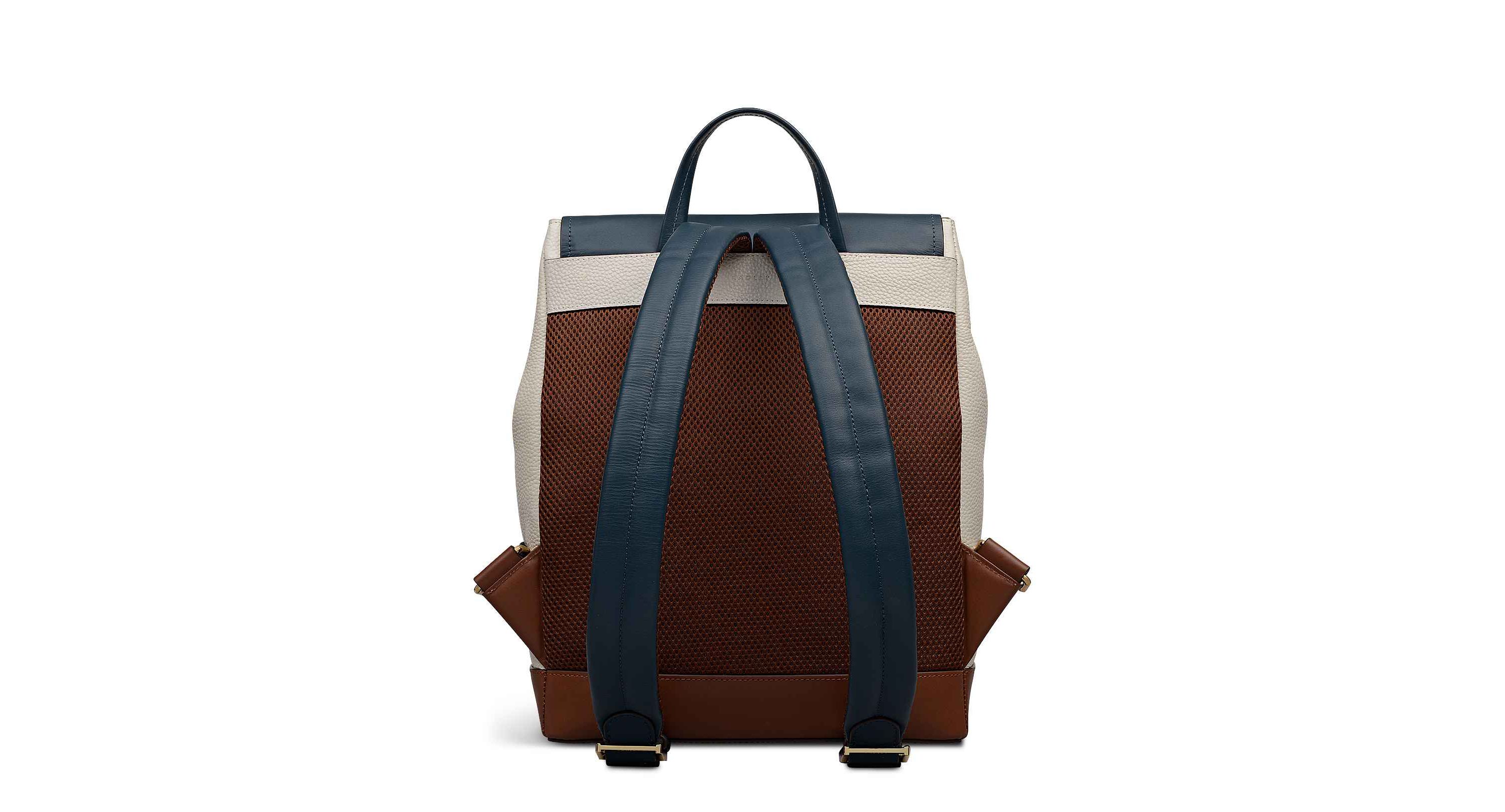 Albion Street Colourblock Large Ziptop Backpack
