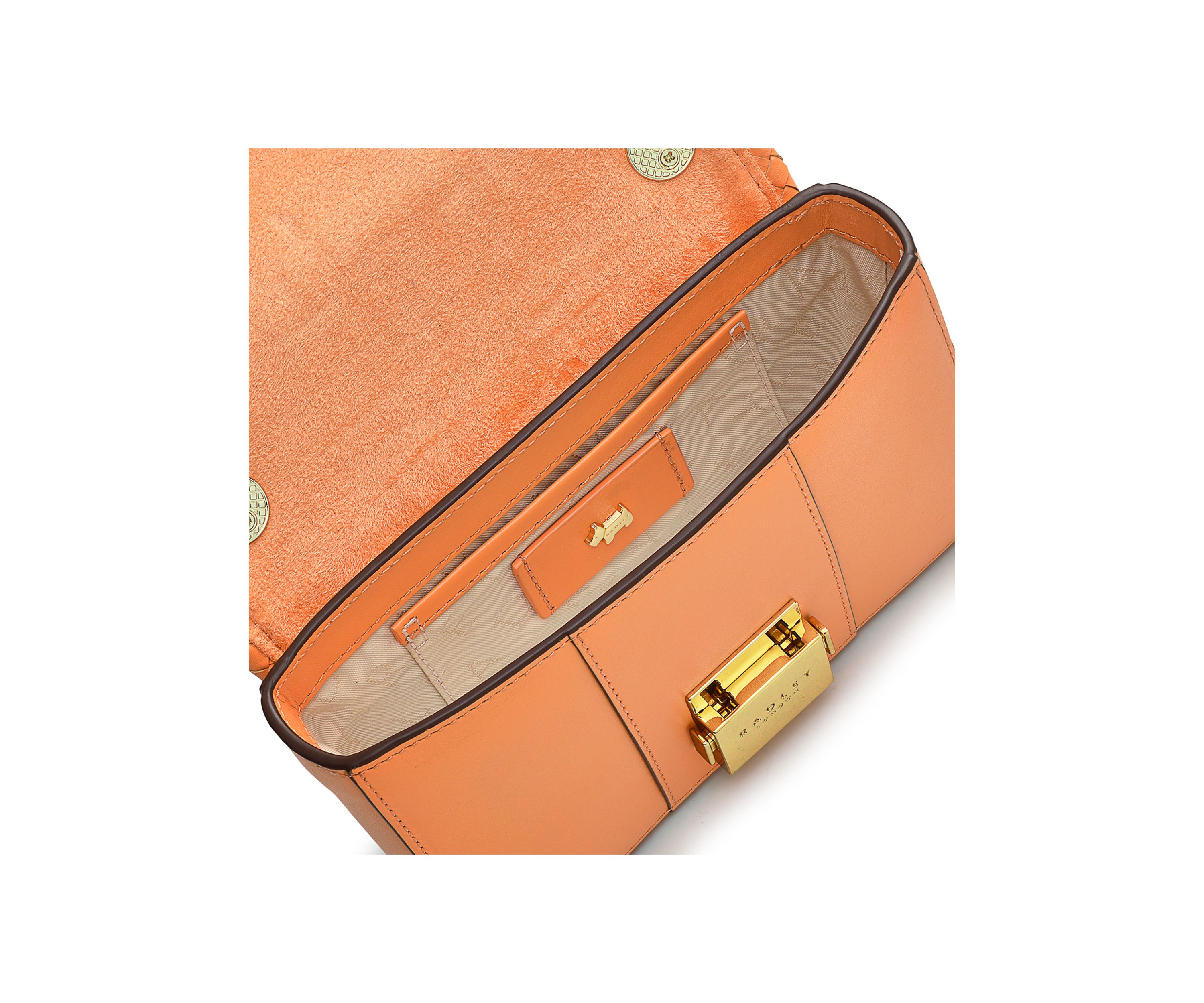 Mini Flapover Crossbody