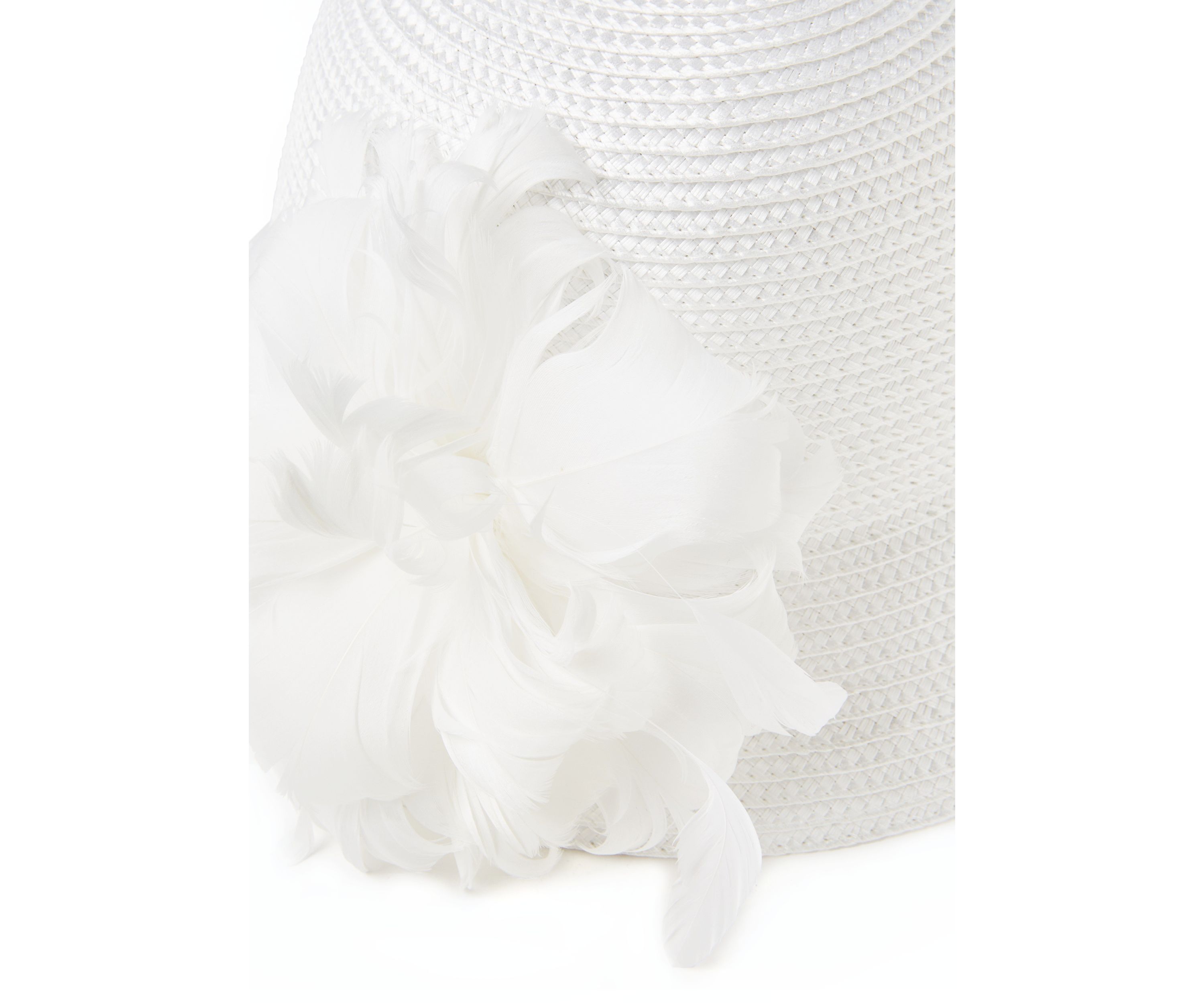 Feather Braid Cloche Hat