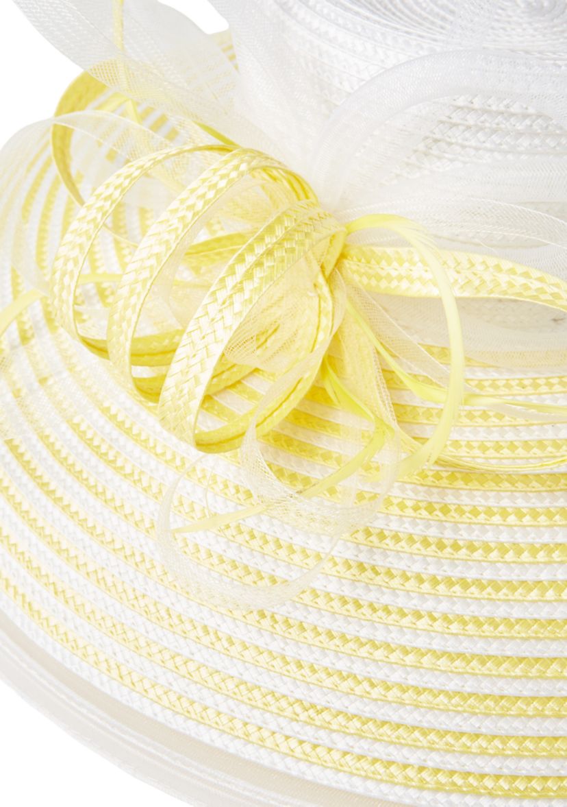 Stripe Sheer Wide Brim Hat