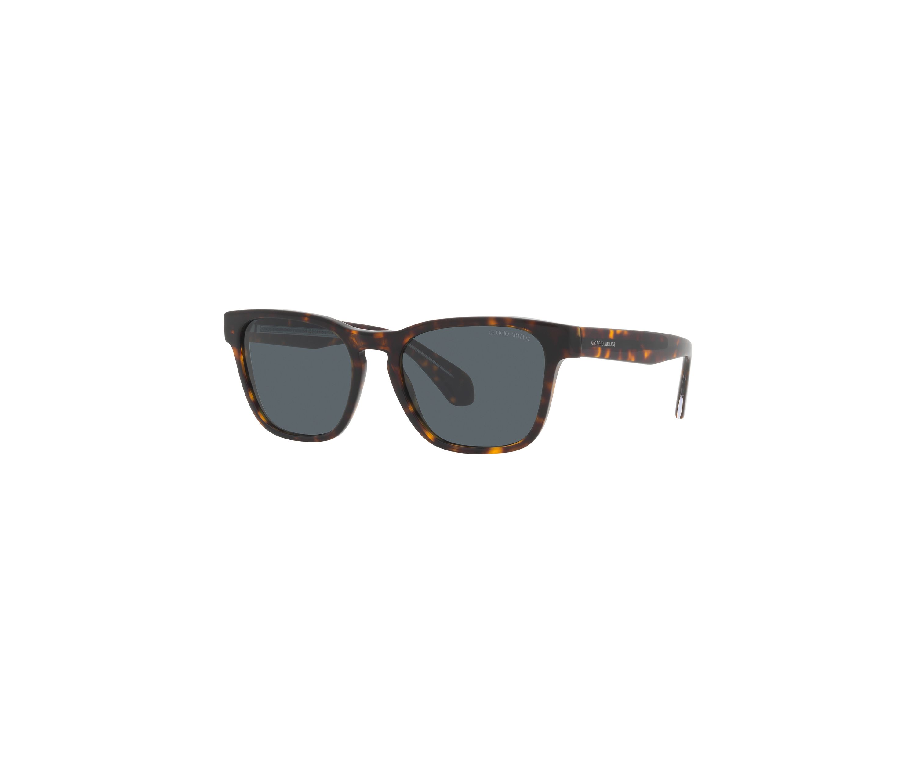 AR8155 Sunglasses