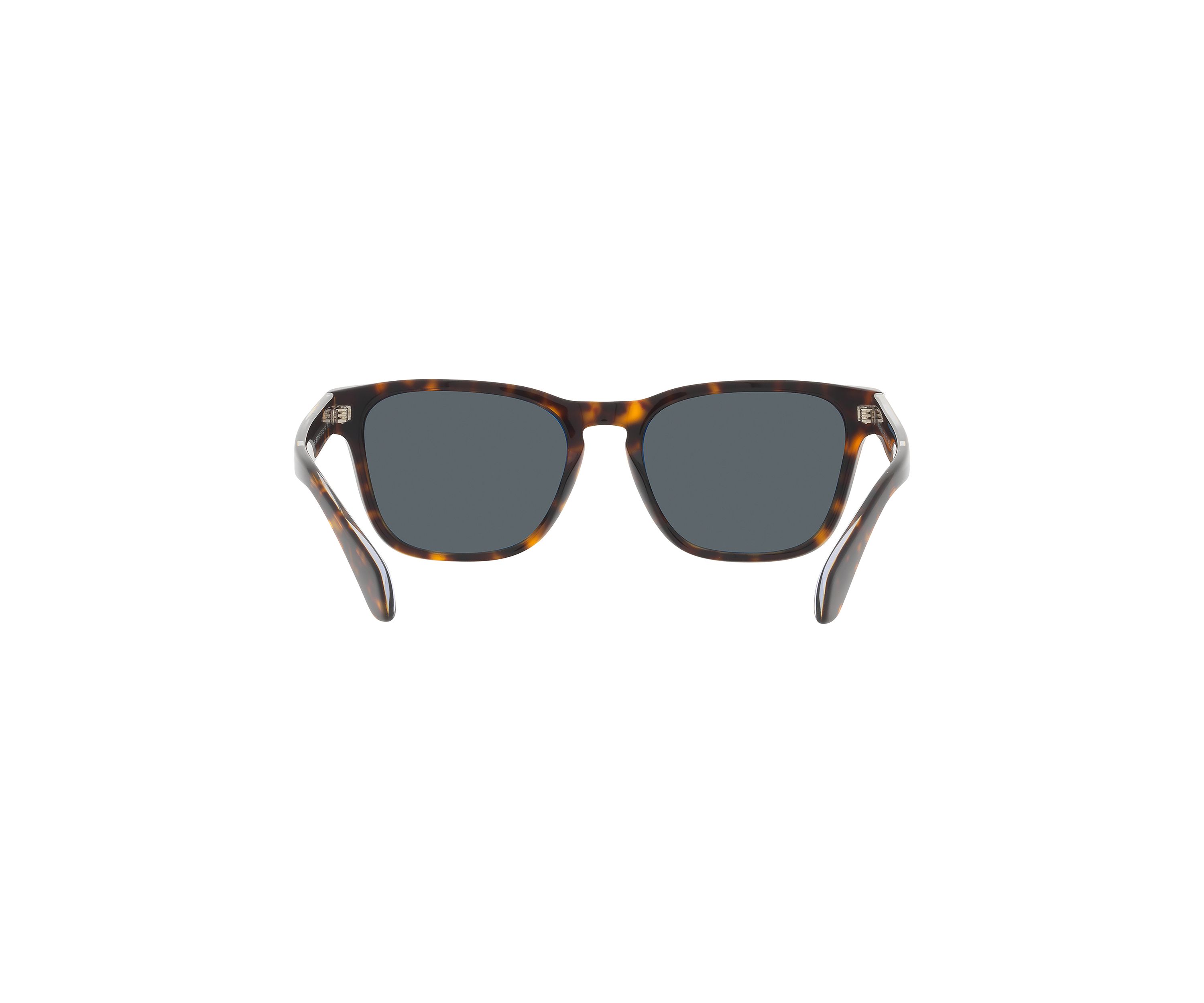 AR8155 Sunglasses