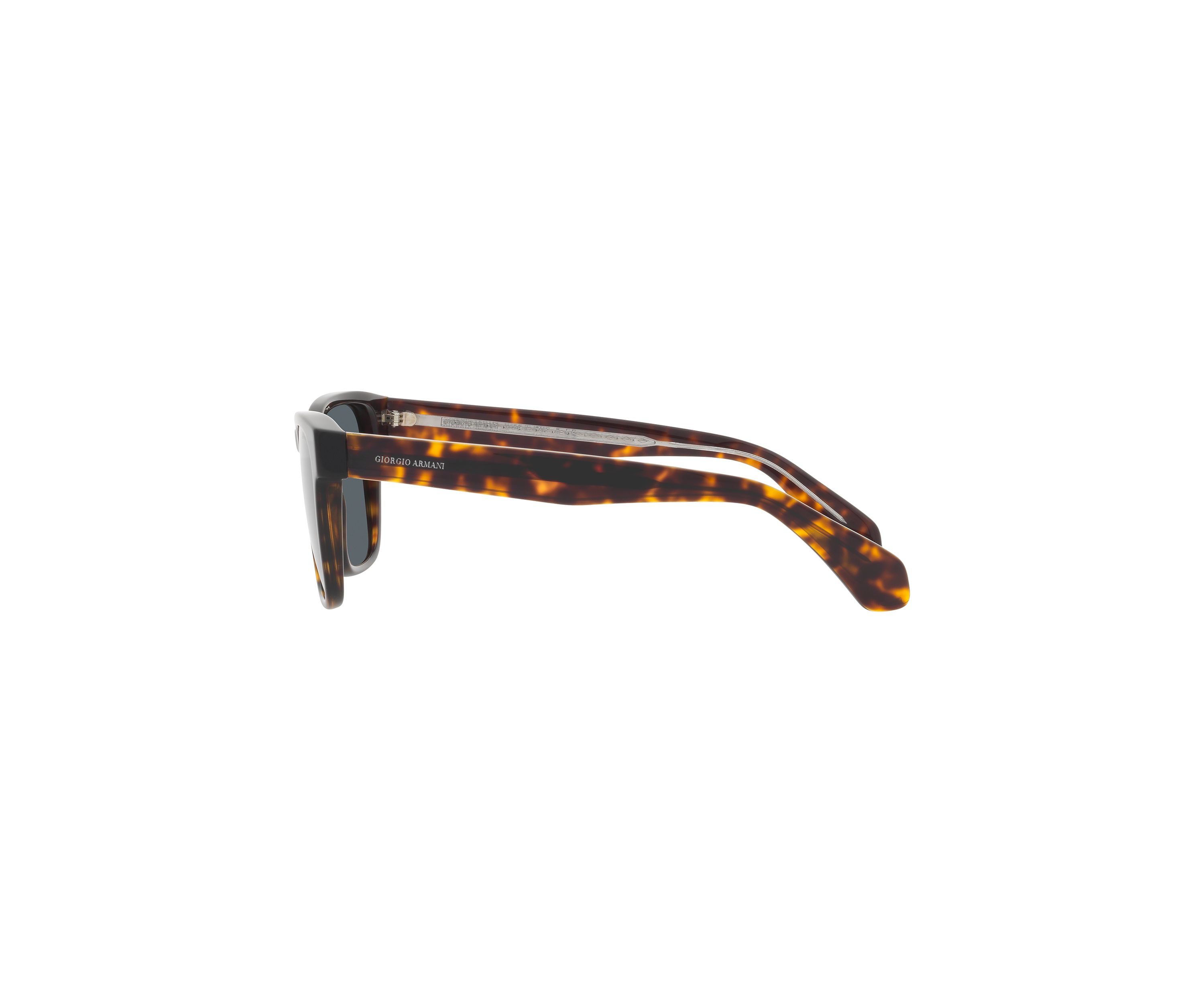 AR8155 Sunglasses