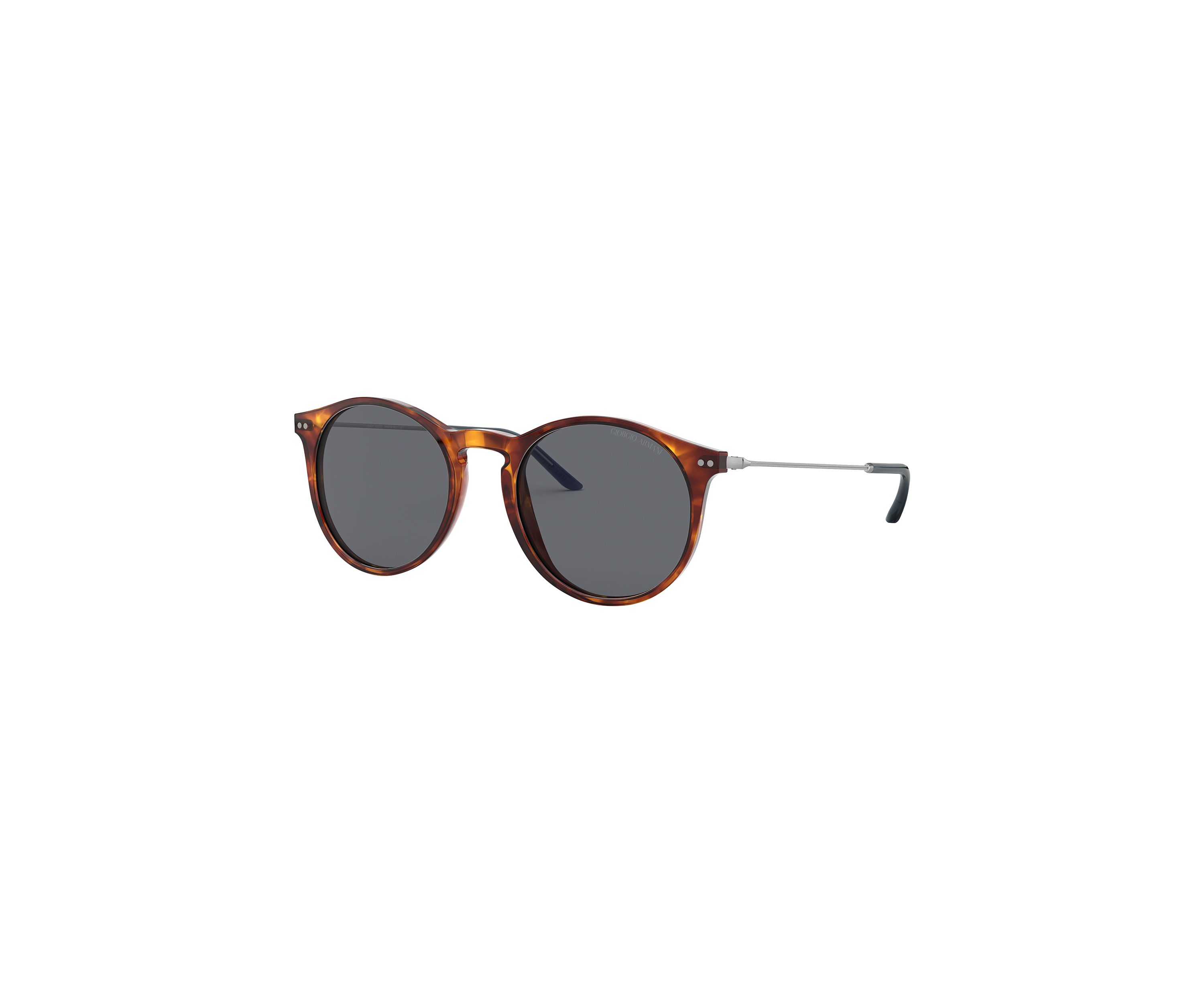 AR8121 Sunglasses