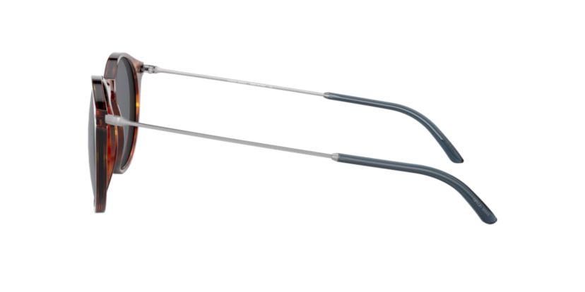 AR8121 Sunglasses
