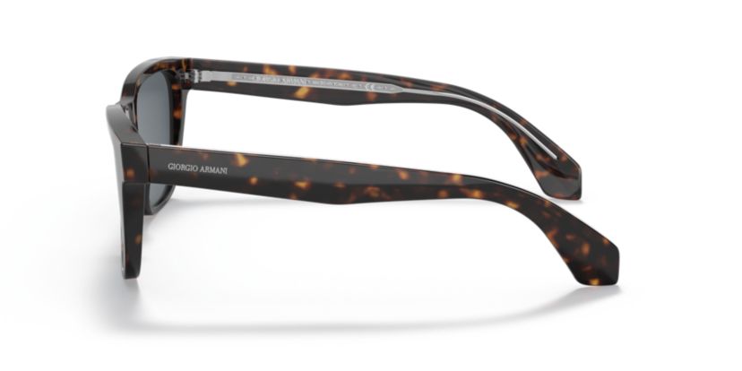 AR8155 Sunglasses
