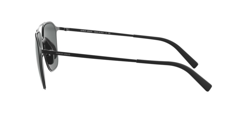 AR6110 Sunglasses