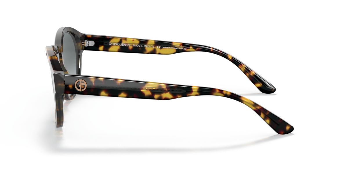 AR8146 Sunglasses