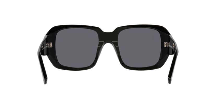DG2294 Sunglasses
