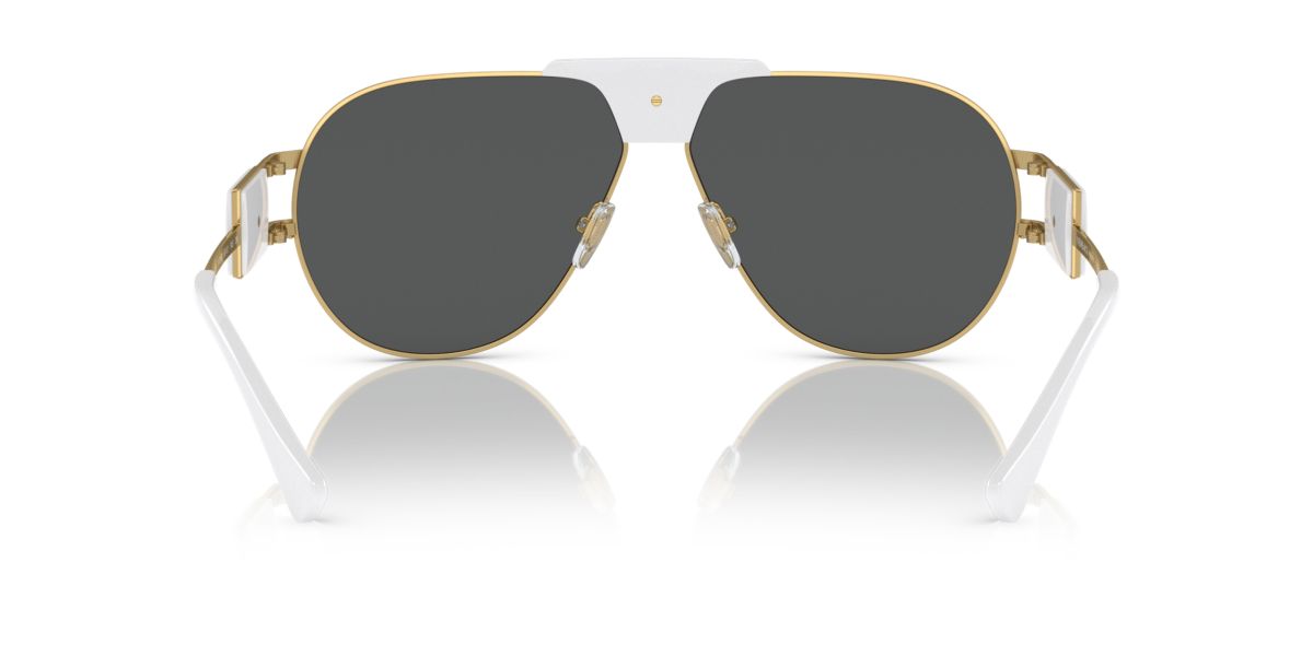 VE2252 Sunglasses