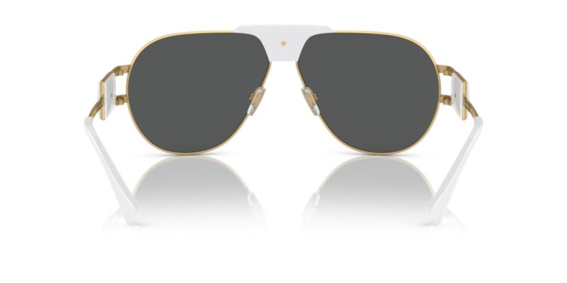 VE2252 Sunglasses