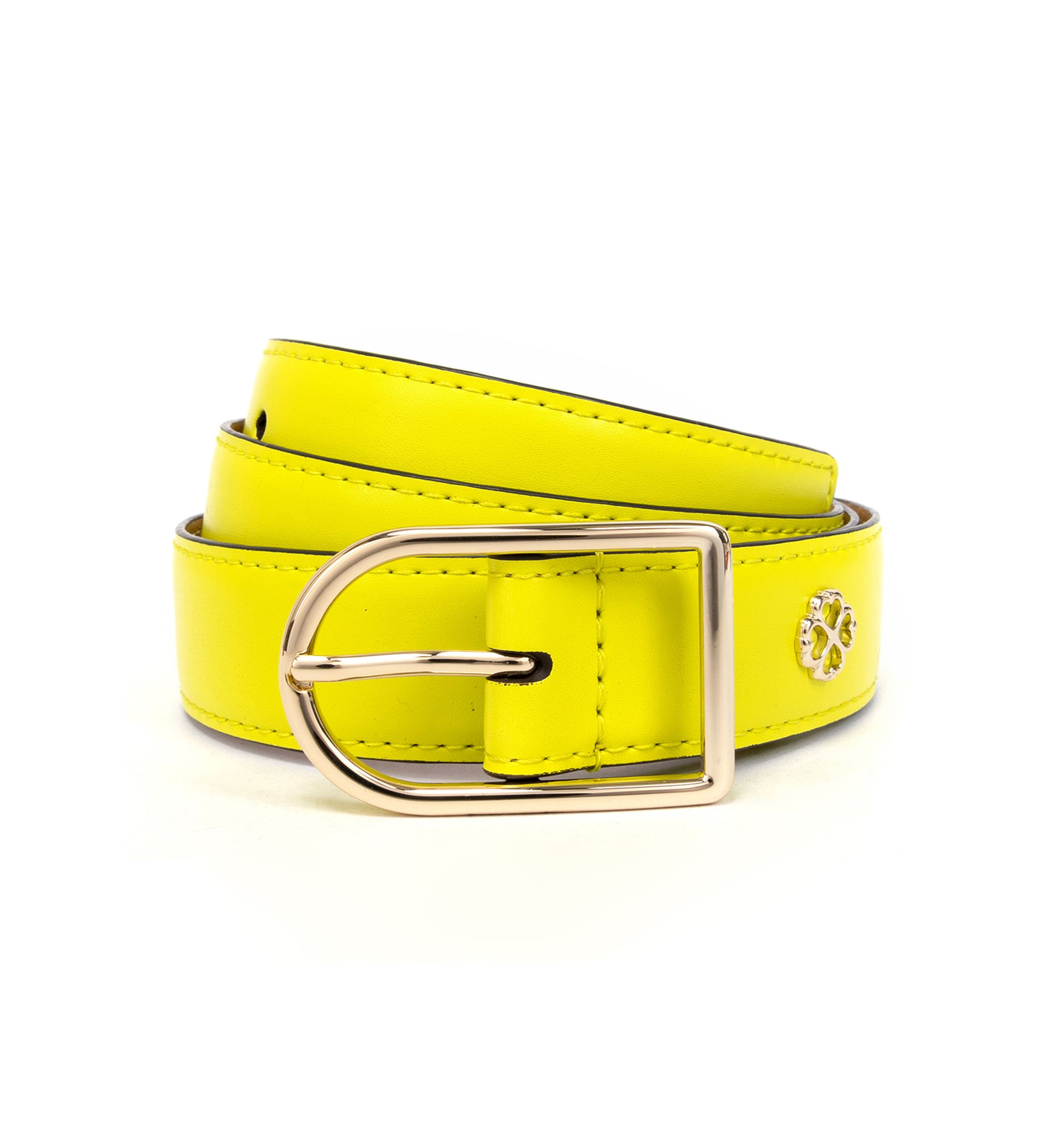Solid Belt