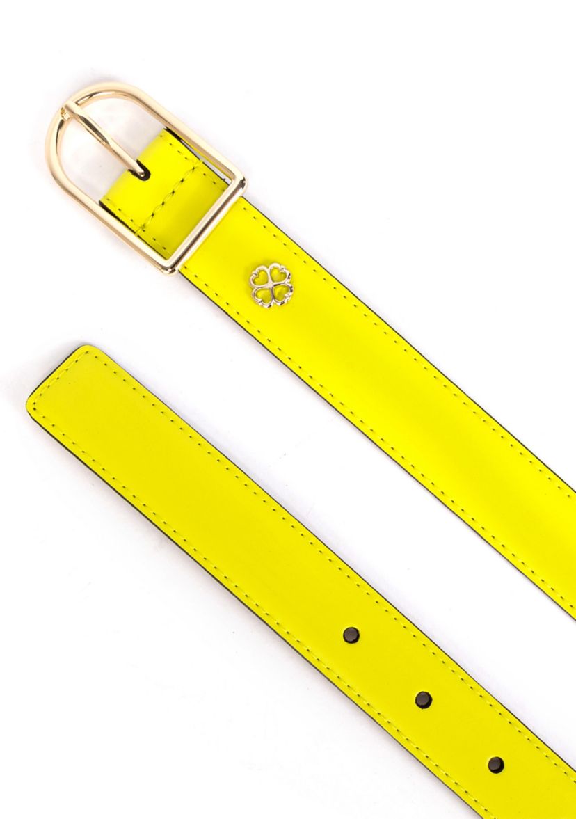 Solid Belt