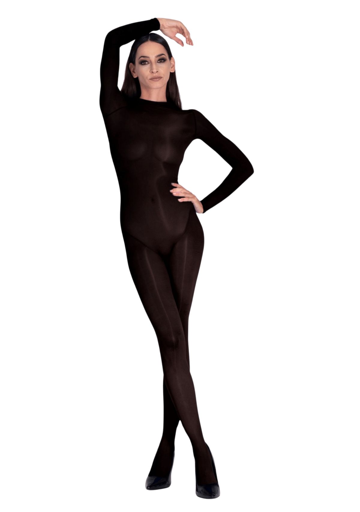 Lustrous Silky Shiny Sheer Bodystocking