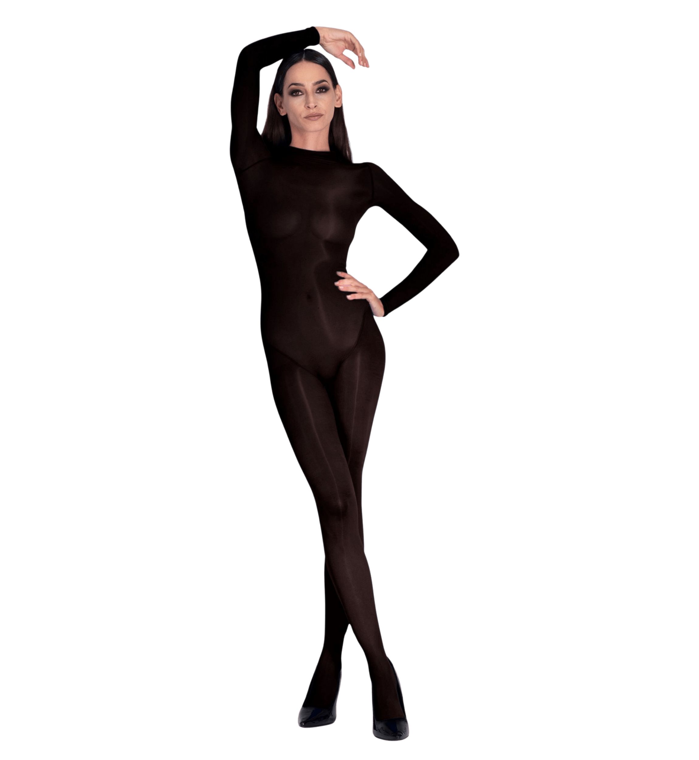 Lustrous Silky Shiny Sheer Bodystocking