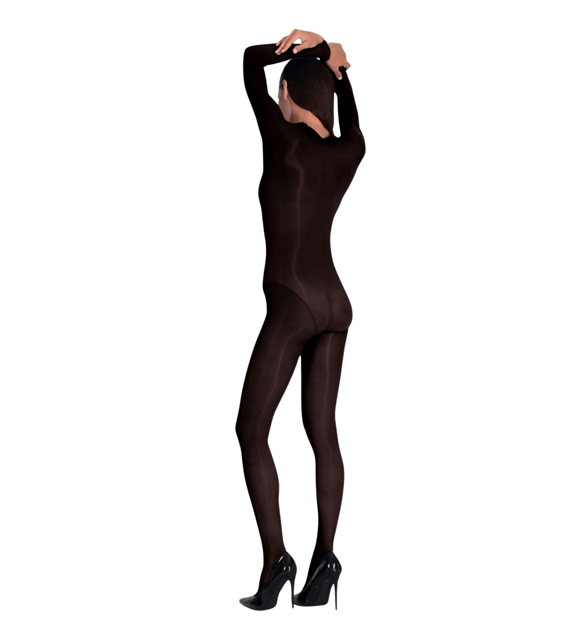 Lustrous Silky Shiny Sheer Bodystocking