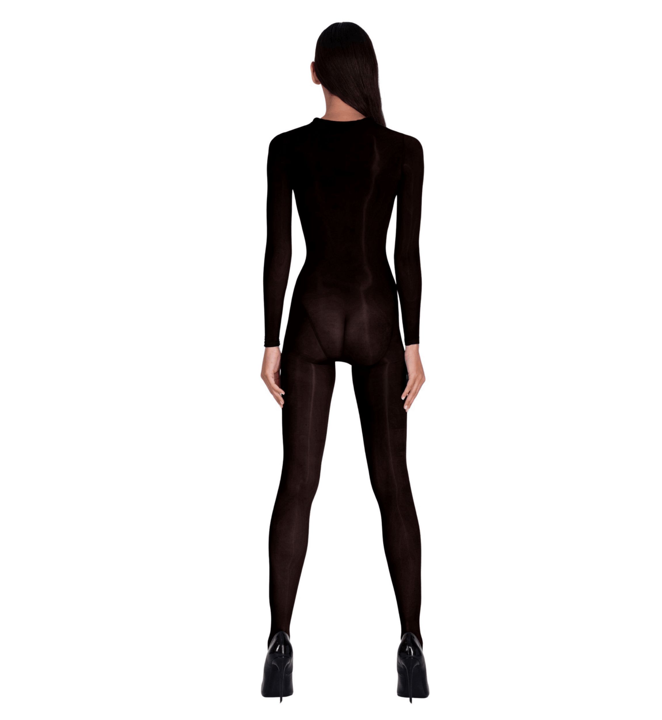 Lustrous Silky Shiny Sheer Bodystocking