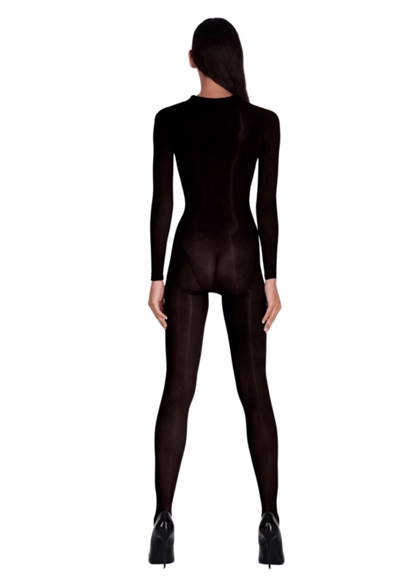 Lustrous Silky Shiny Sheer Bodystocking