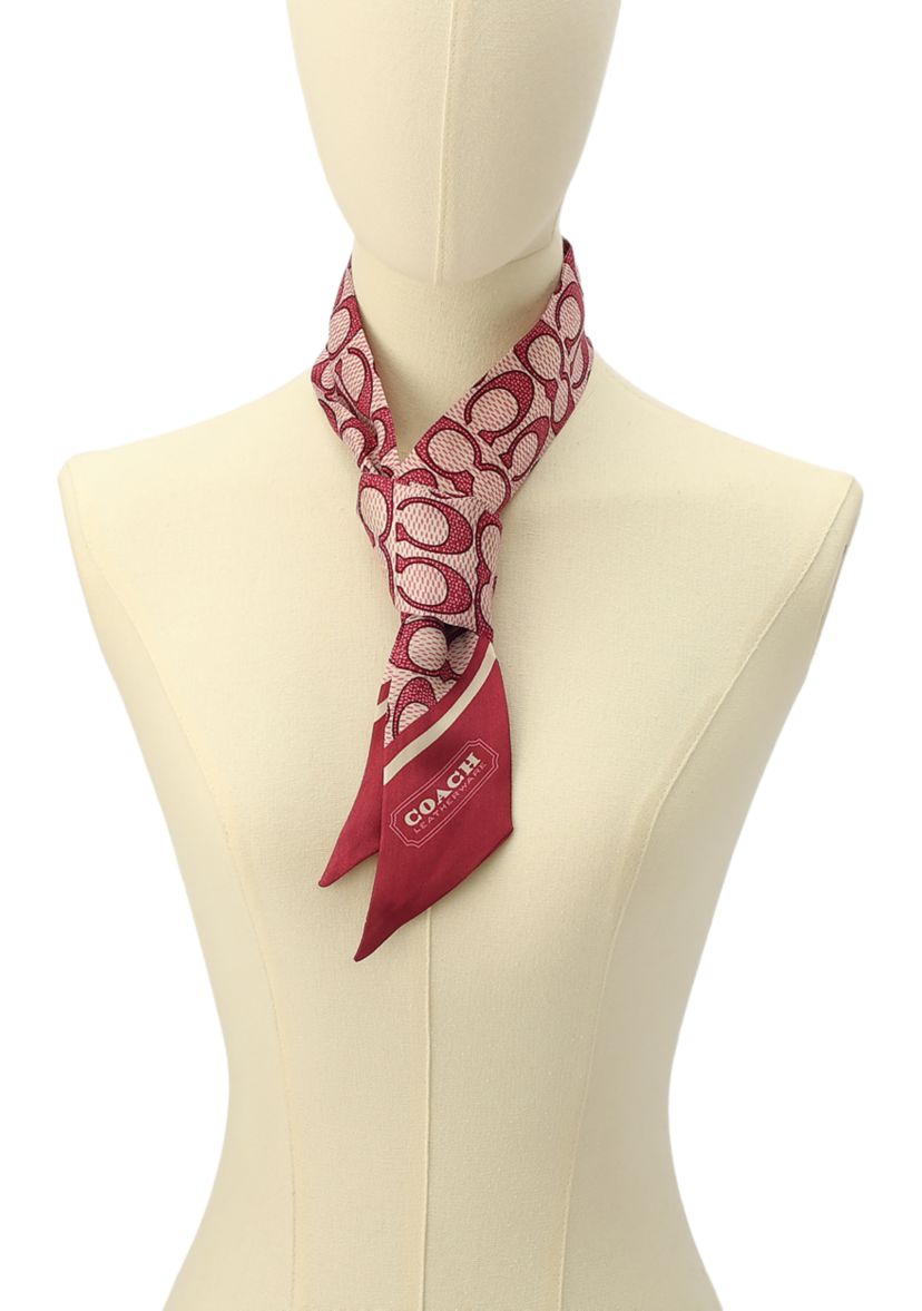 Vintage Signature C Printed Silky Scarf