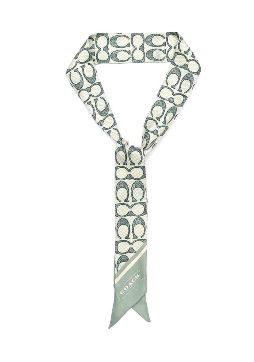 Vintage Signature C Printed Silky Scarf