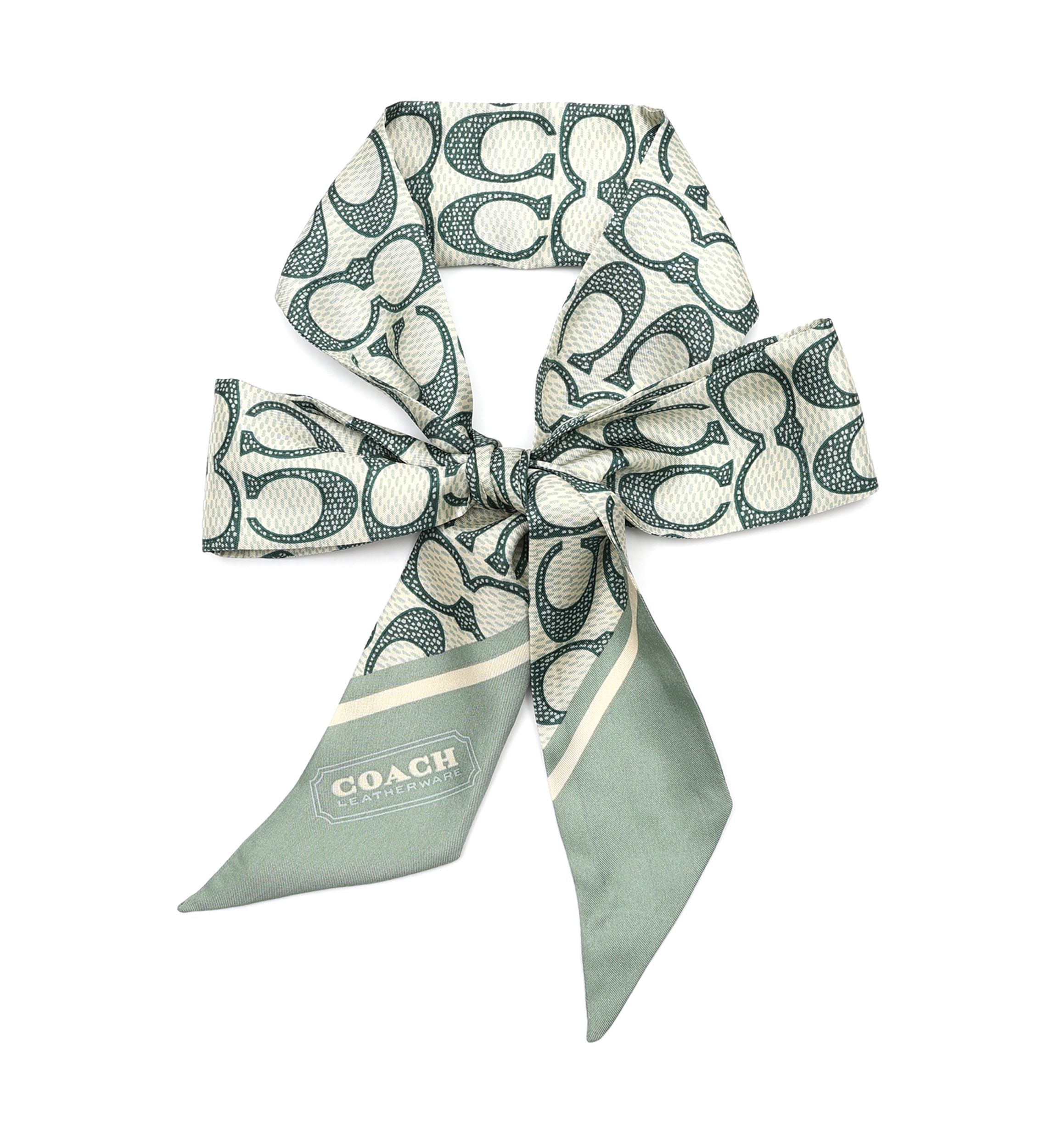 Vintage Signature C Printed Silky Scarf