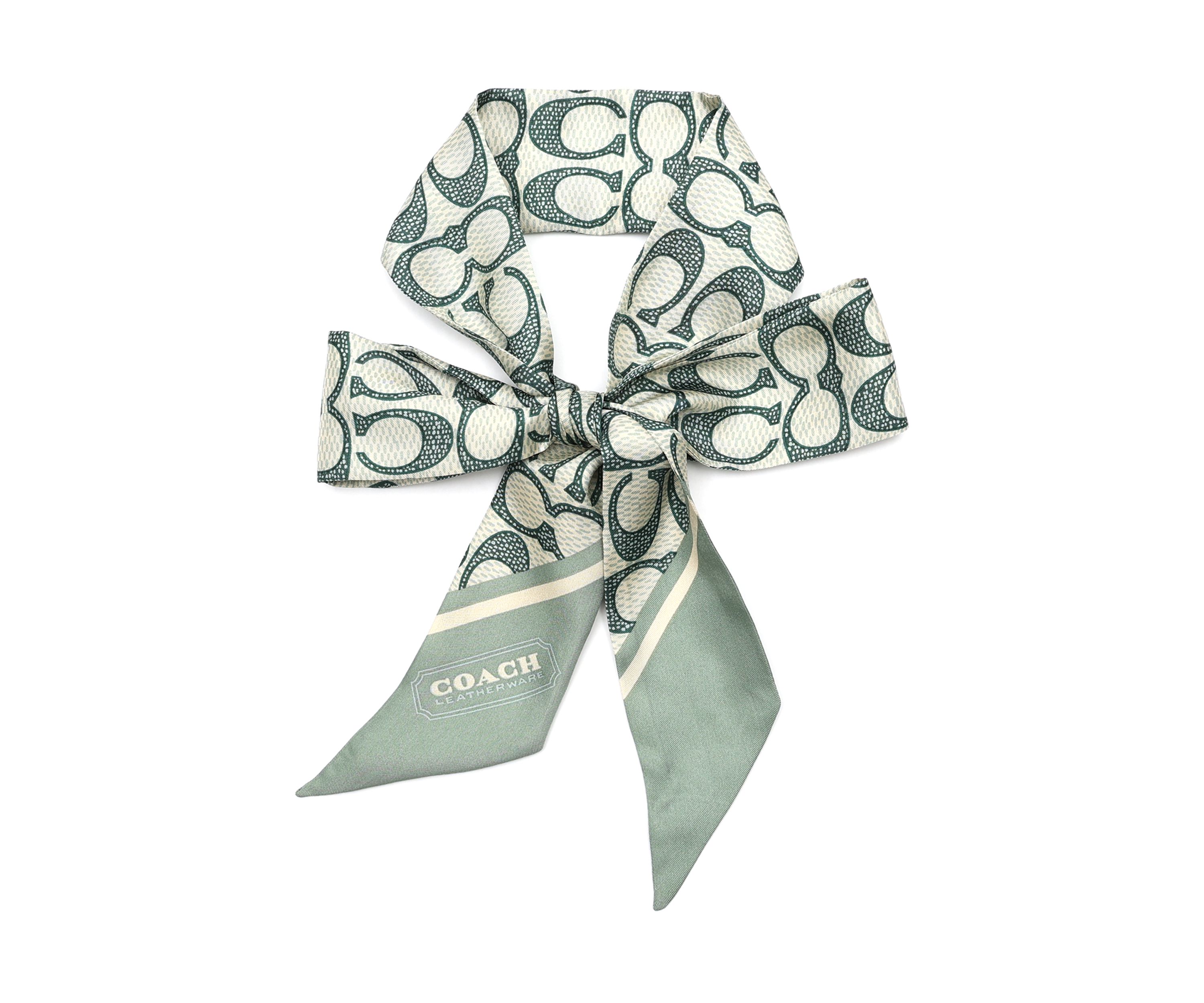 Vintage Signature C Printed Silky Scarf