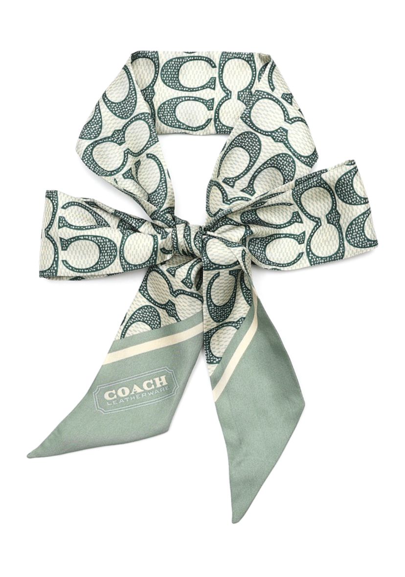 Vintage Signature C Printed Silky Scarf