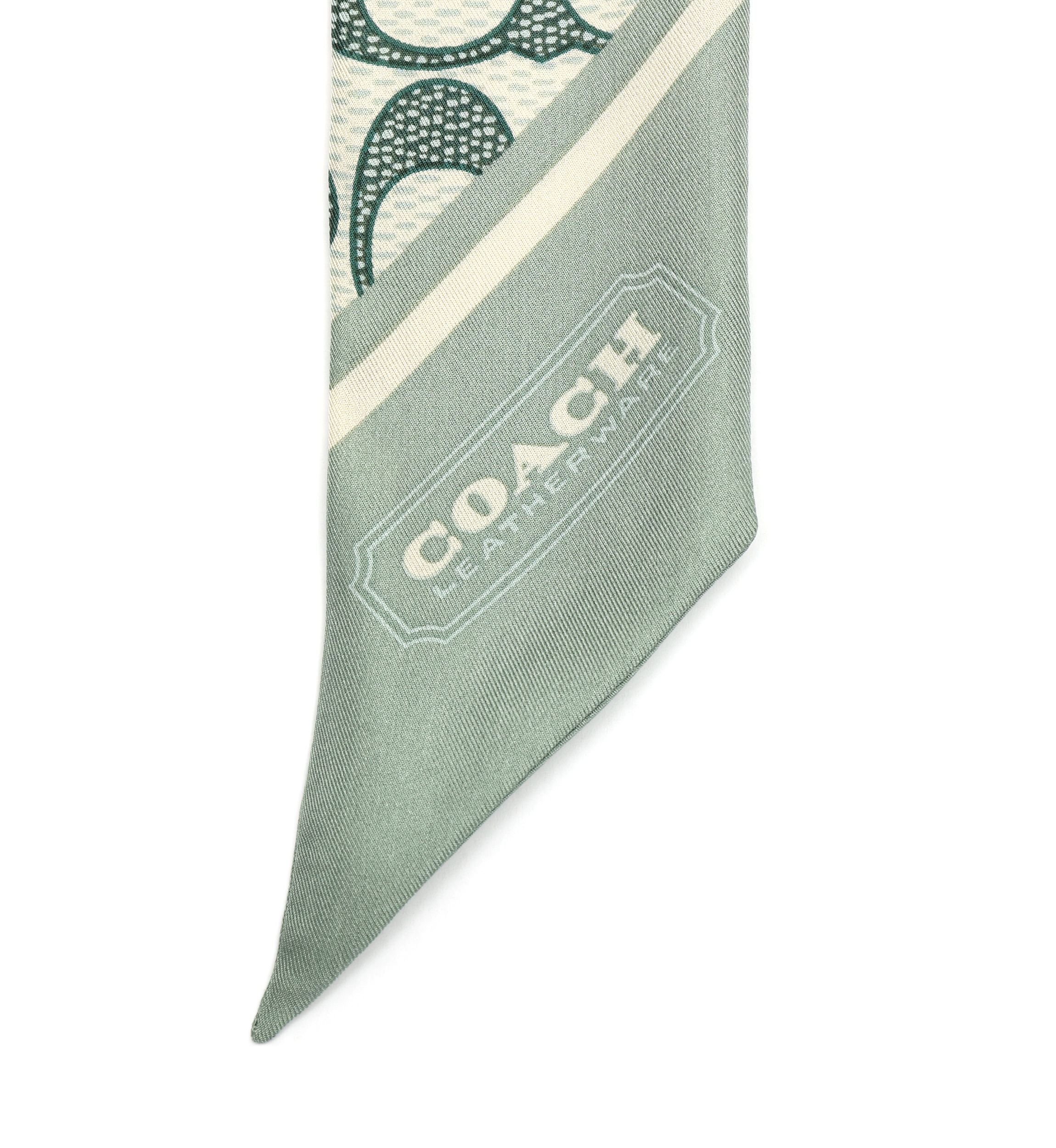 Vintage Signature C Printed Silky Scarf