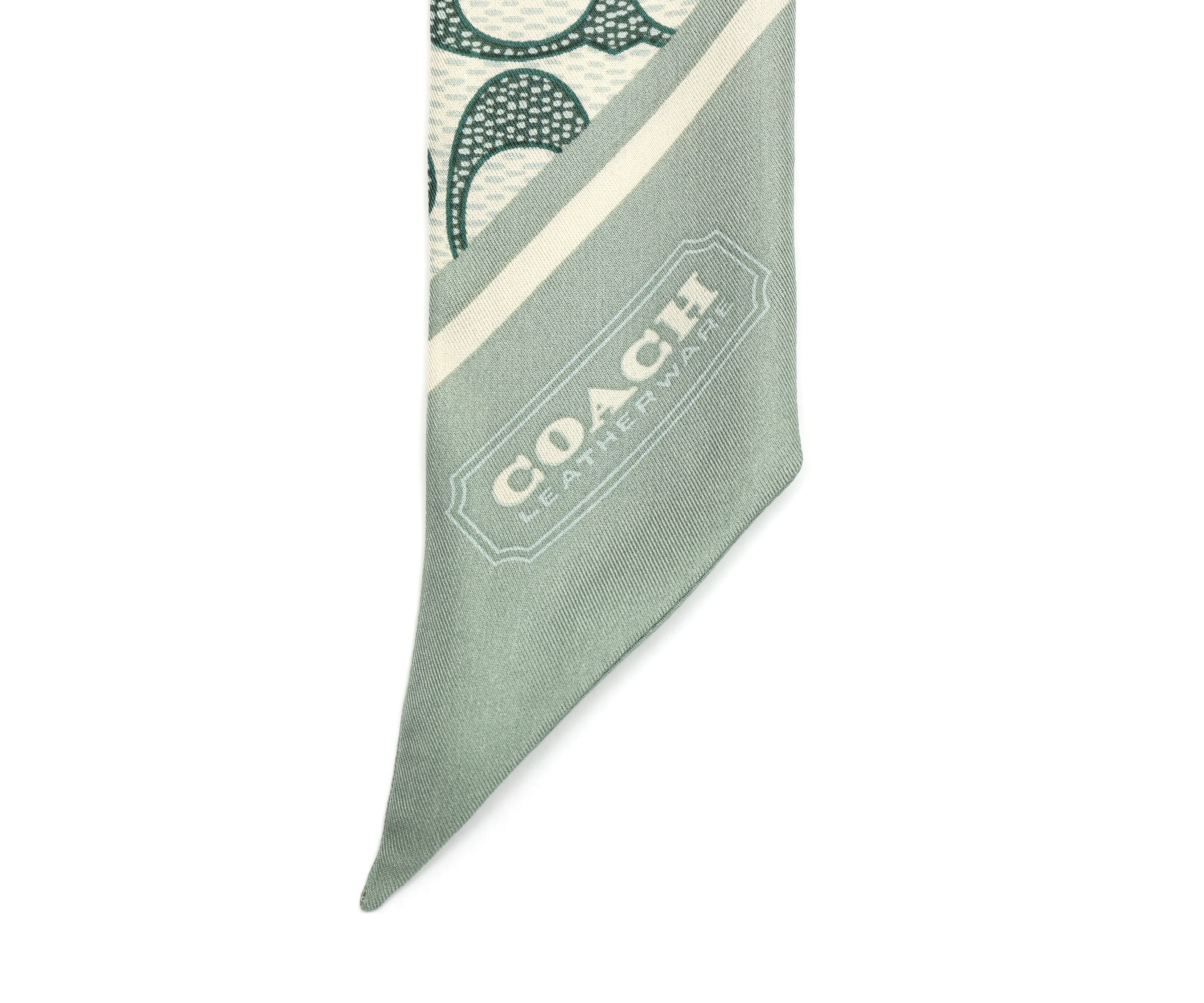 Vintage Signature C Printed Silky Scarf