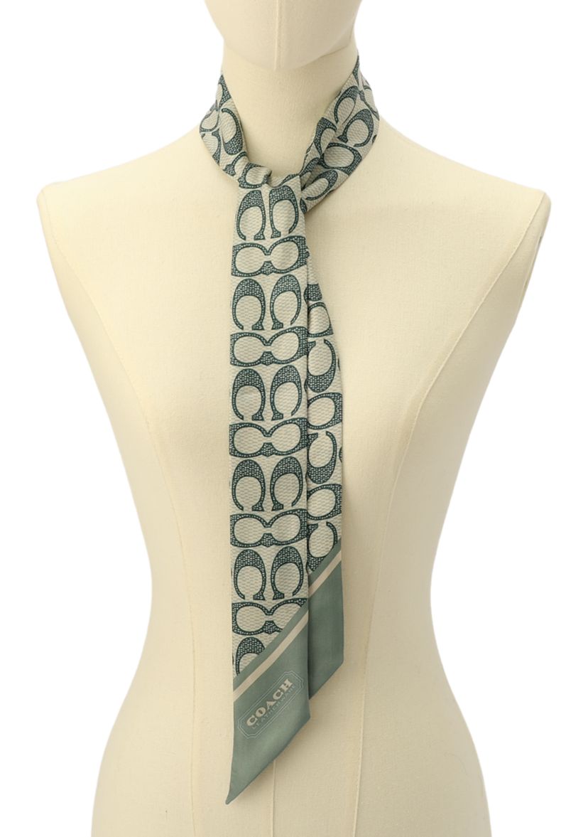 Vintage Signature C Printed Silky Scarf