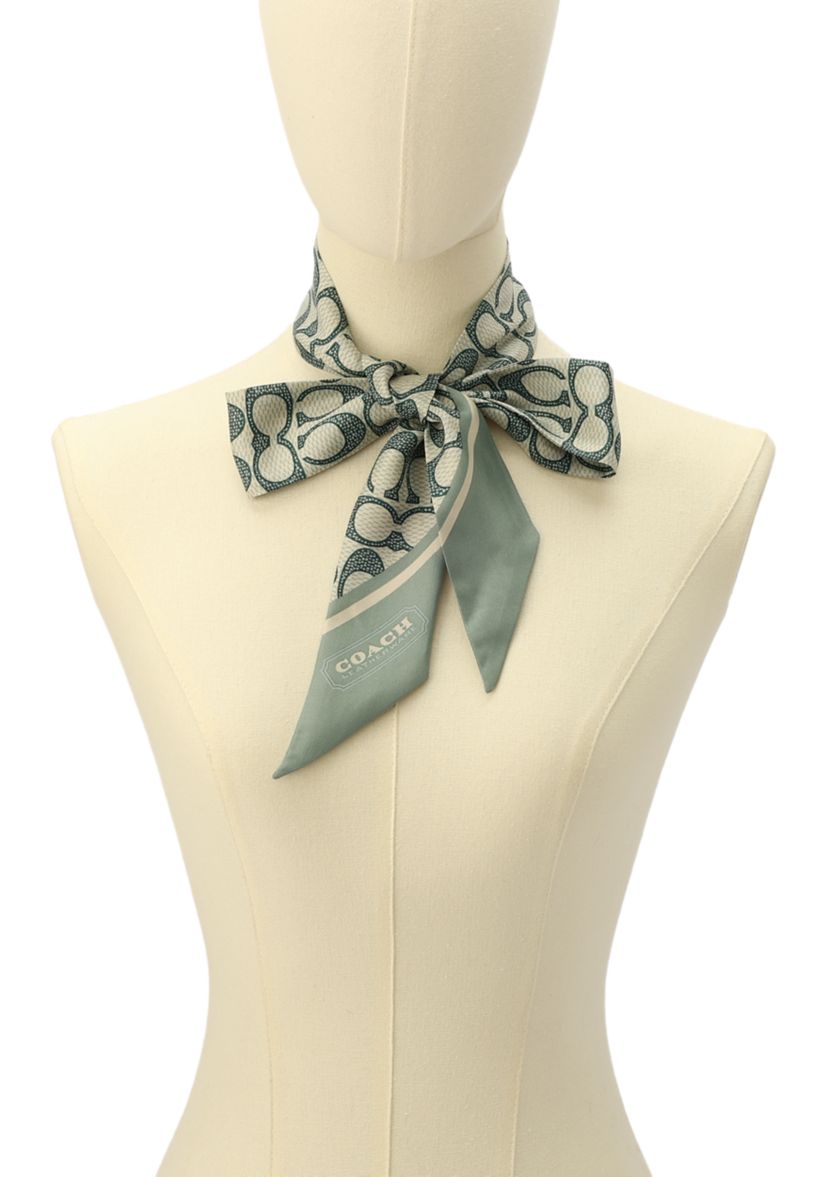 Vintage Signature C Printed Silky Scarf