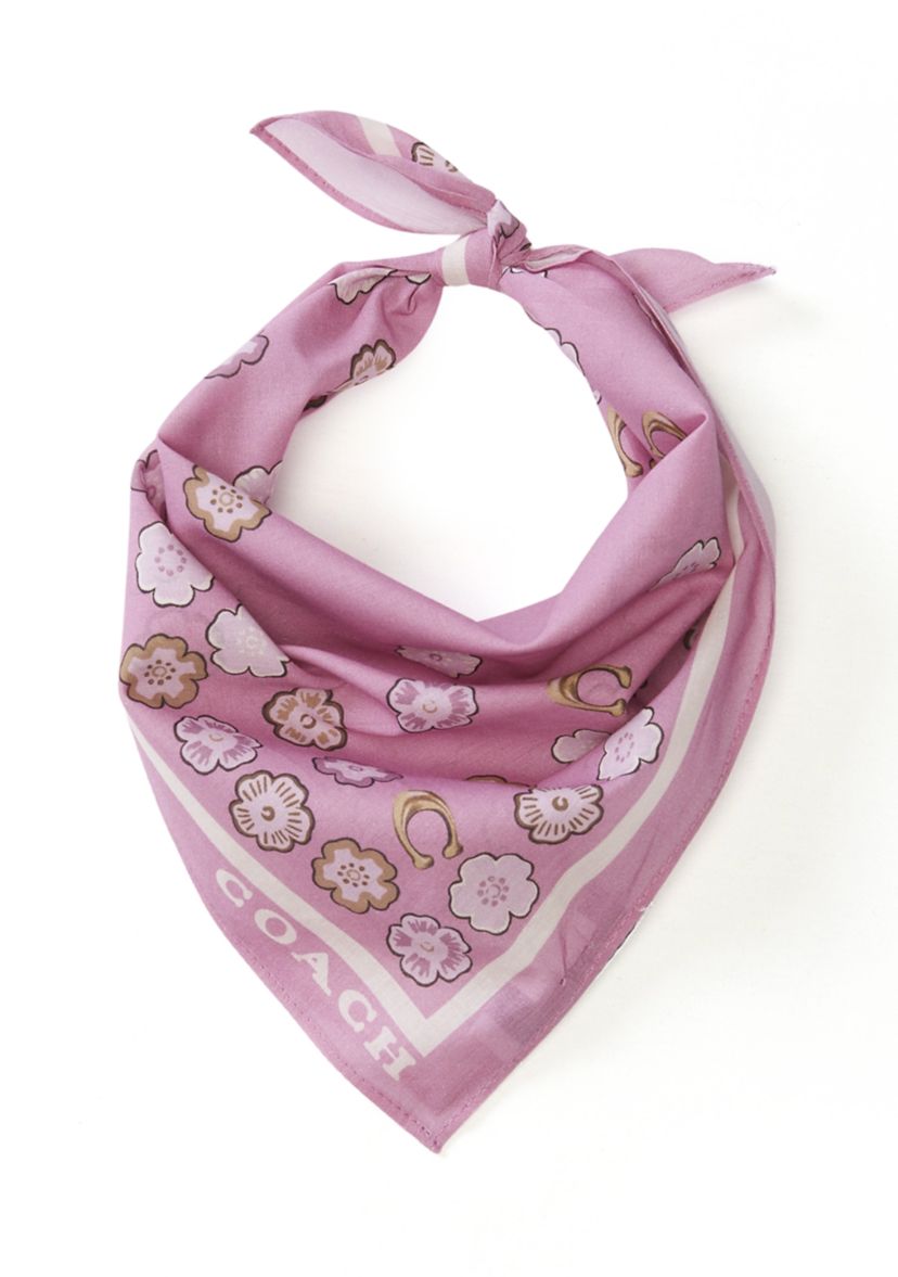 Waterfall Tea Rose Printed Handkerchief