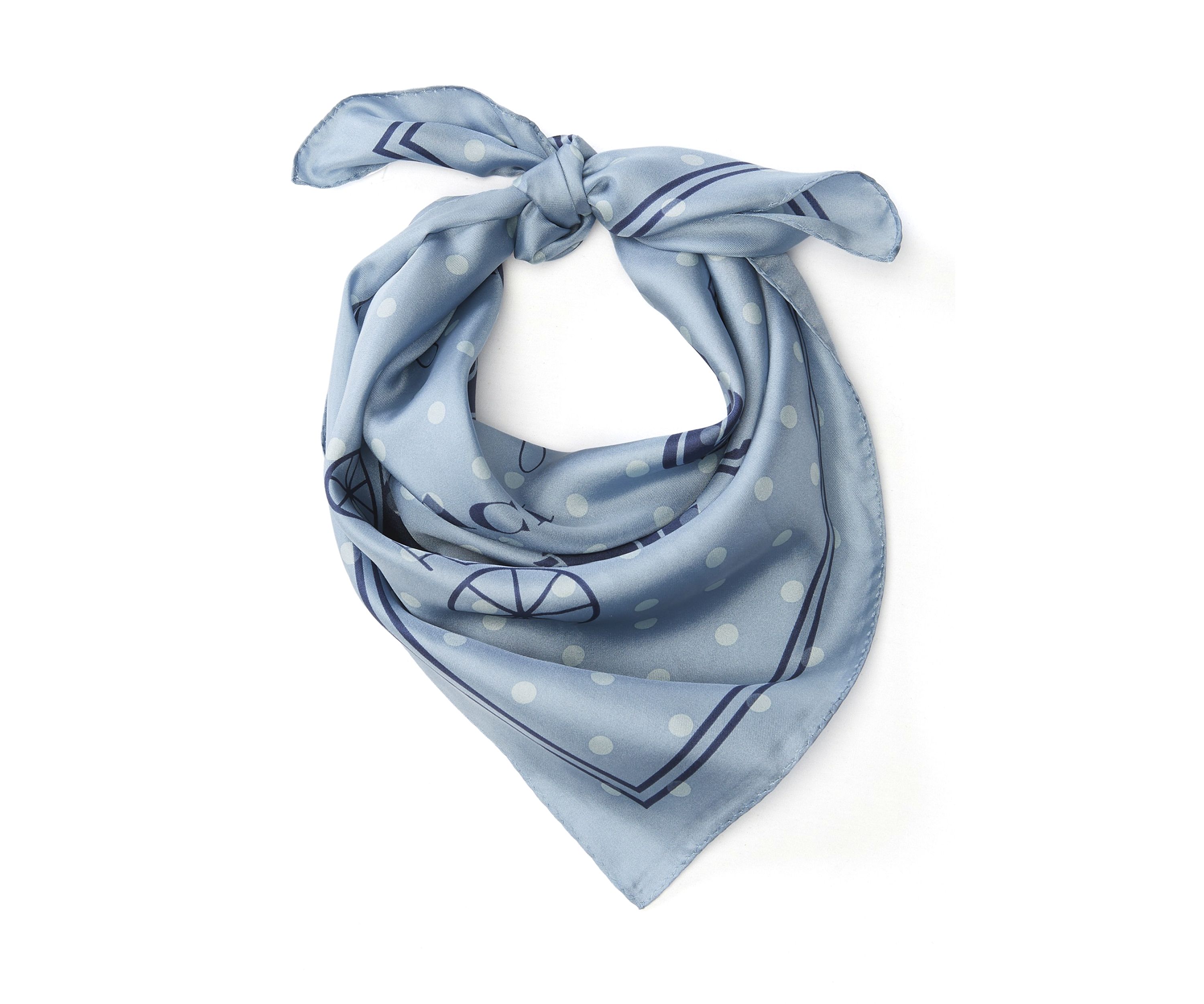 Horse and Carriage Dot Printed Bandana 